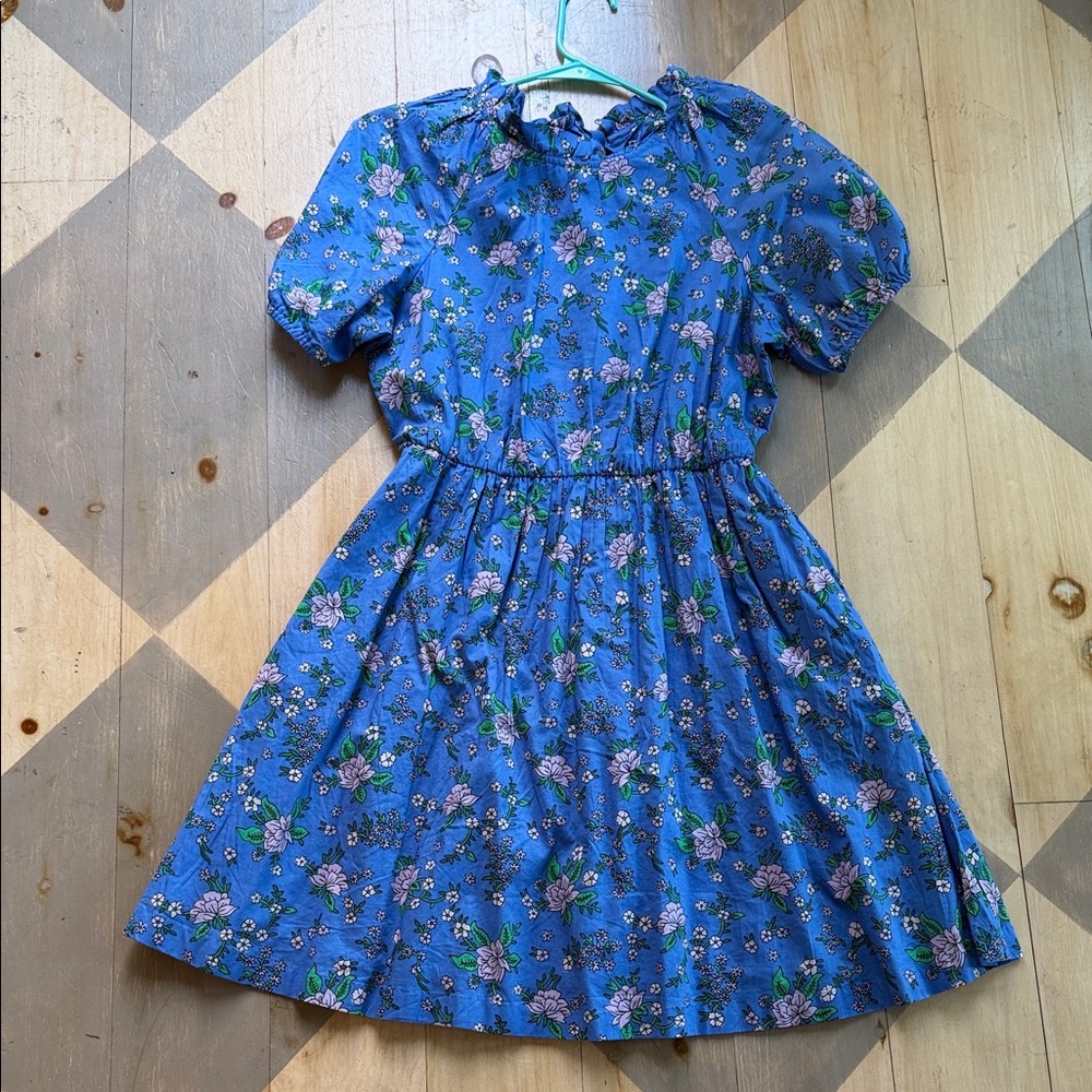 J. Crew Blue Floral Puff-Sleeve Casual Dress